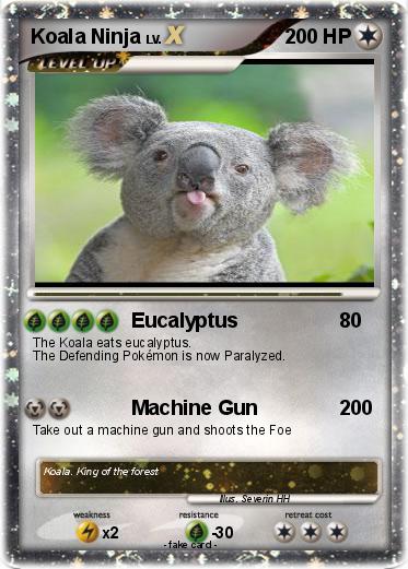Pokemon Koala Ninja