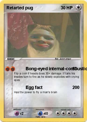 Pokemon Retarted pug