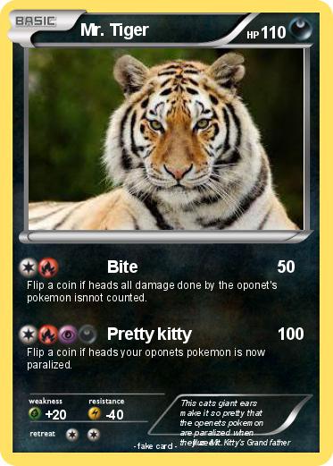 Pokemon Mr. Tiger