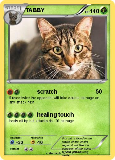 Pokemon TABBY