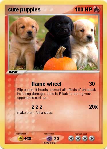 Pokemon cute puppies
