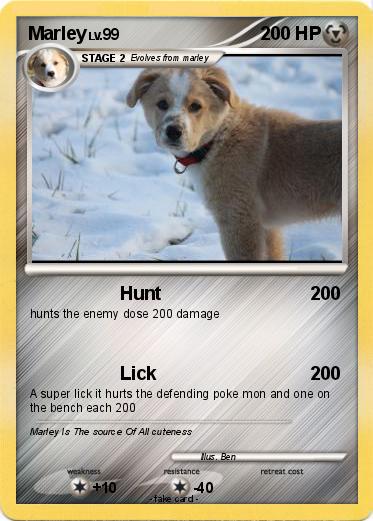 Pokemon Marley