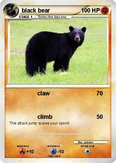 Pokemon black bear