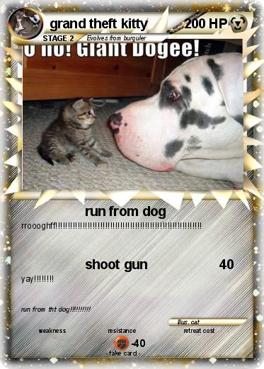 Pokemon grand theft kitty