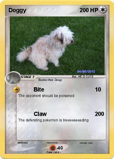 Pokemon Doggy