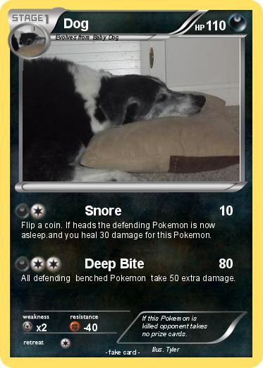 Pokemon Dog