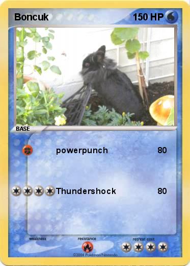 Pokemon Boncuk