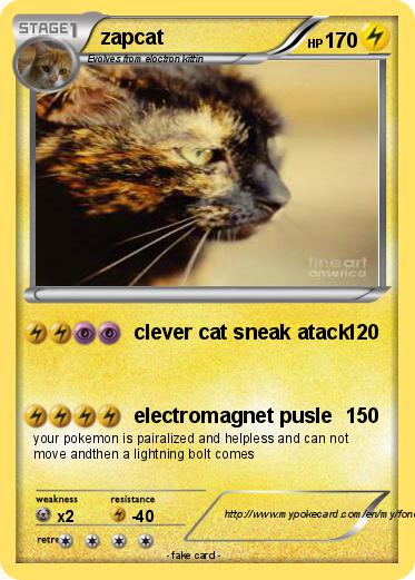 Pokemon zapcat
