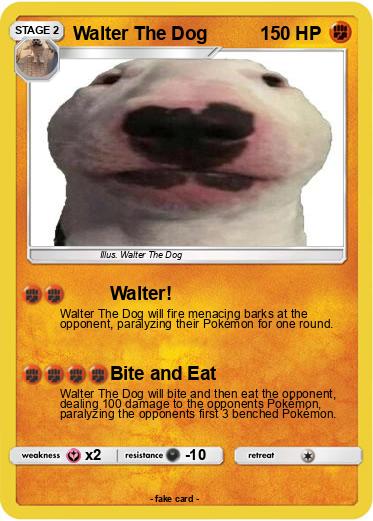 Pokemon Walter The Dog