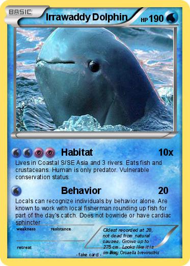Pokemon Irrawaddy Dolphin