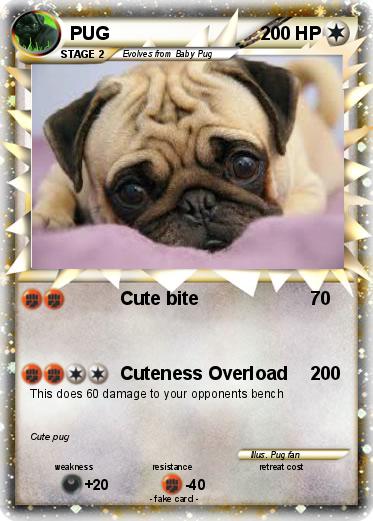 Pokemon PUG