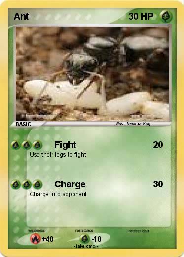 Pokemon Ant