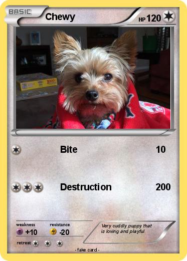 Pokemon Chewy