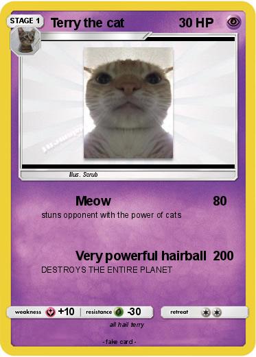 Pokemon Terry the cat