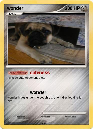 Pokemon wonder