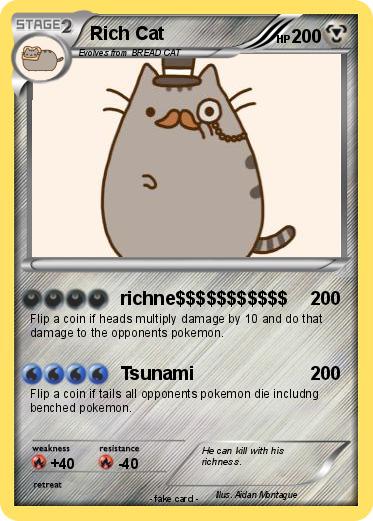 Pokemon Rich Cat