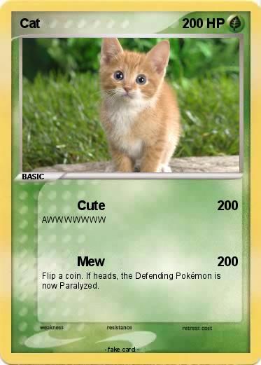 Pokemon Cat