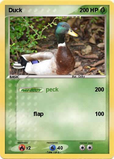 Pokemon Duck