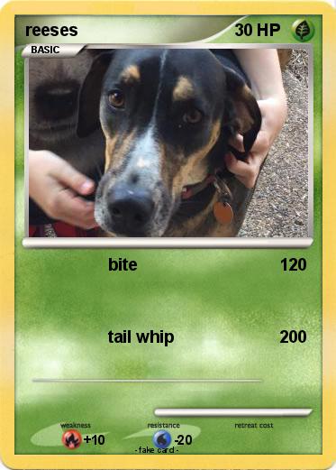 Pokemon reeses