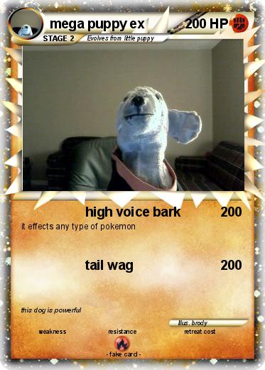 Pokemon mega puppy ex