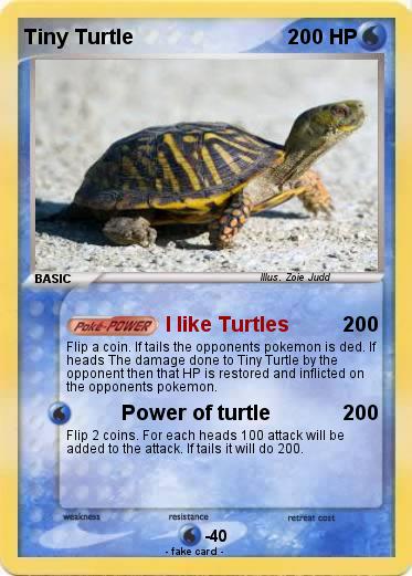 Pokemon Tiny Turtle