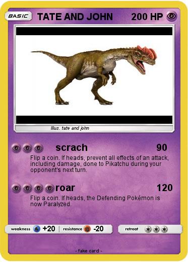 Pokemon TATE AND JOHN