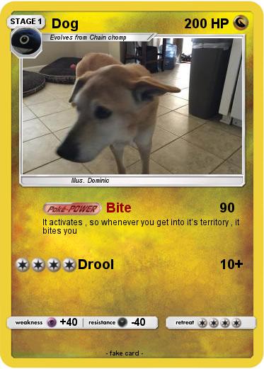Pokemon Dog