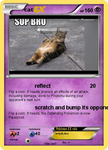 Pokemon cat