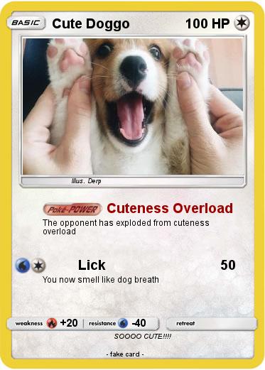 Pokemon Cute Doggo