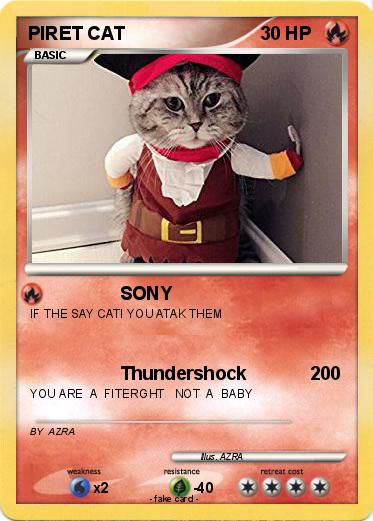 Pokemon PIRET CAT