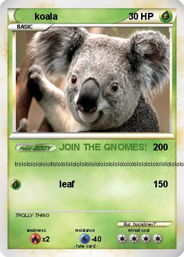 Pokemon koala