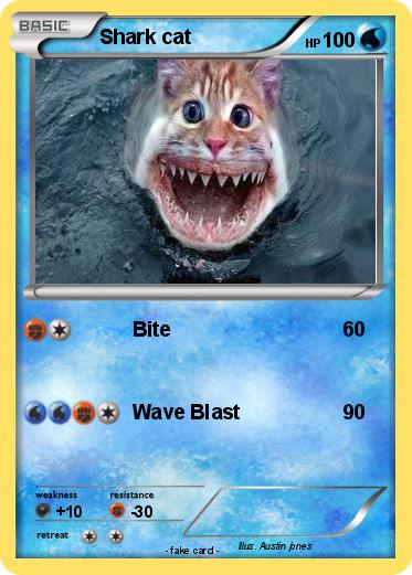 Pokemon Shark cat