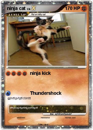 Pokemon ninja cat