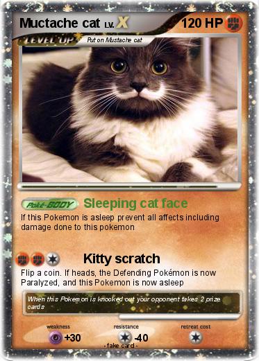 Pokemon Muctache cat