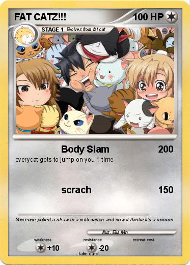 Pokemon FAT CATZ!!!