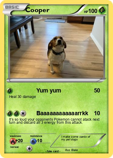 Pokemon Cooper