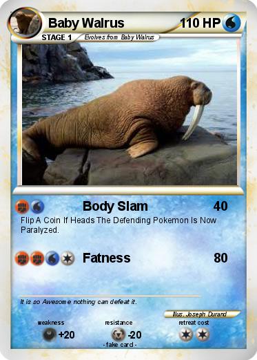 Pokemon Baby Walrus