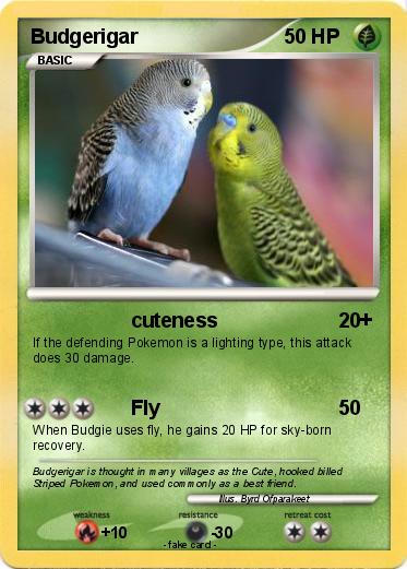 Pokemon Budgerigar