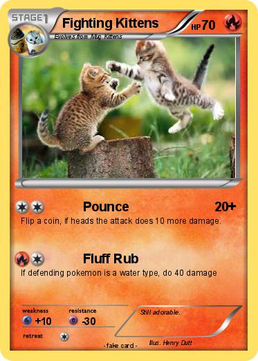 Pokemon Fighting Kittens