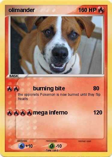Pokemon olimander