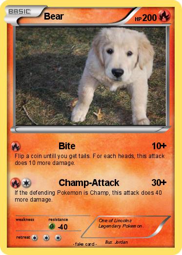 Pokemon Bear