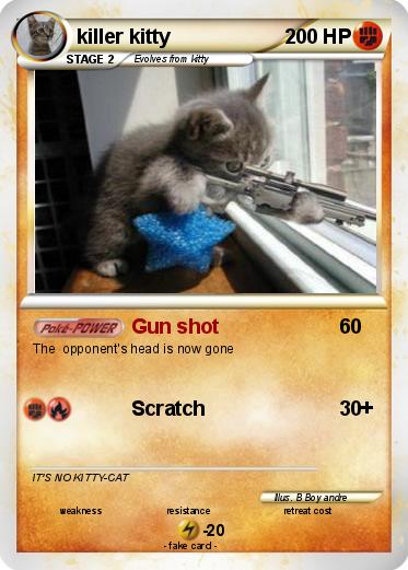 Pokemon killer kitty