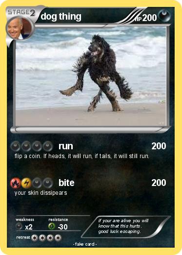 Pokemon dog thing