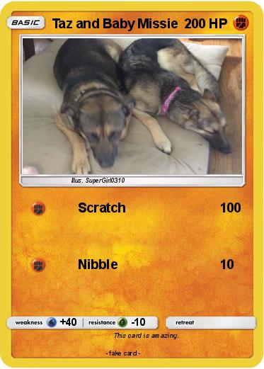 Pokemon Taz and Baby Missie