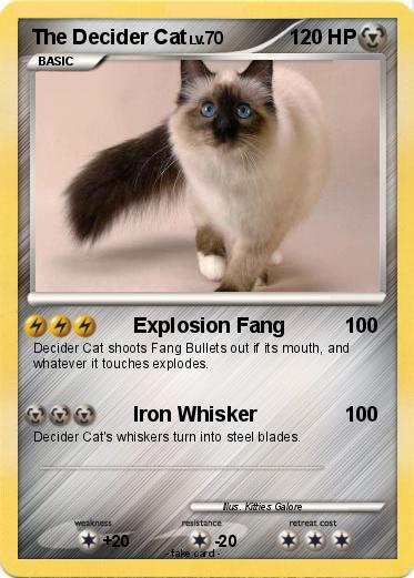 Pokemon The Decider Cat