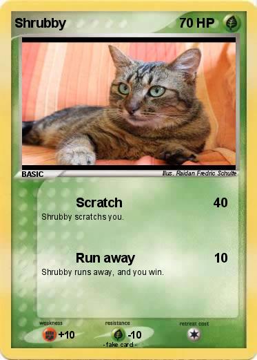 Pokemon Shrubby