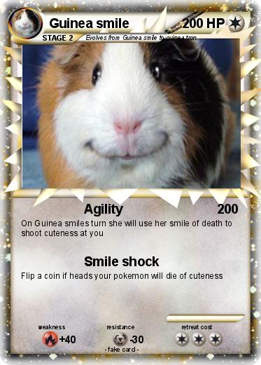 Pokemon Guinea smile