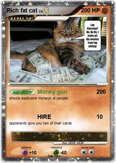 Pokemon Rich fat cat