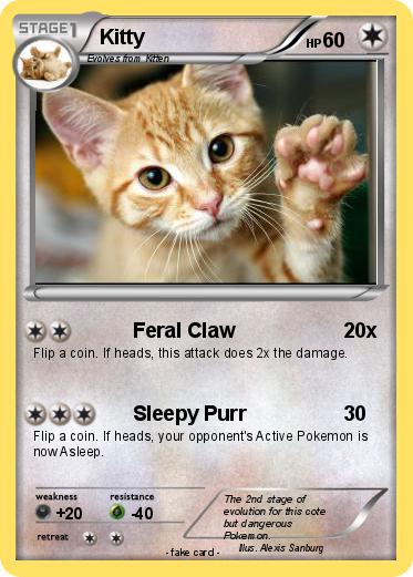 Pokemon Kitty