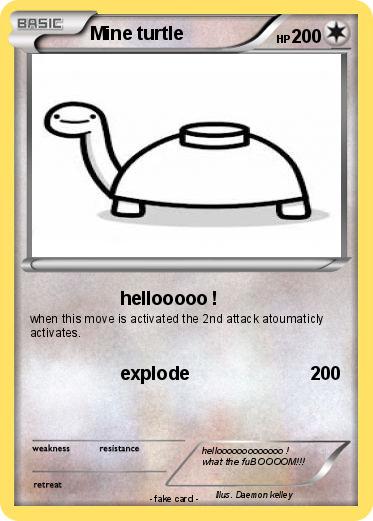 Pokemon Mine turtle